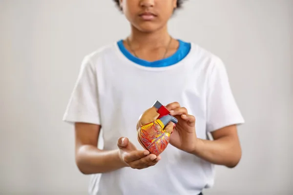 Pediatric Congenital Heart Disease