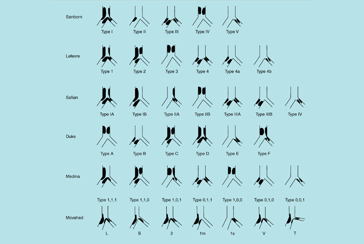 Bifurcation Lesions