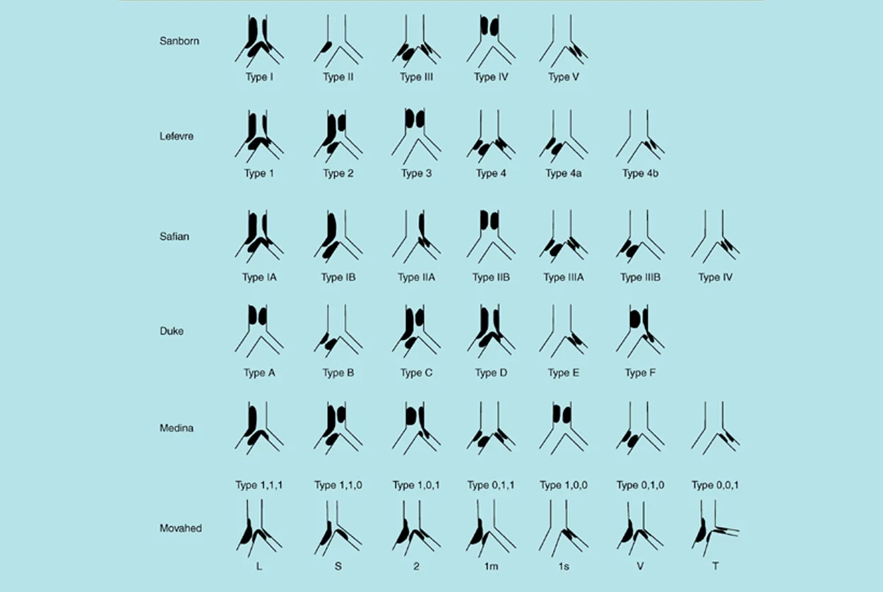 Bifurcation Lesions